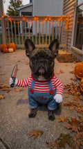 The "Good Dog" Slasher Pet Costume